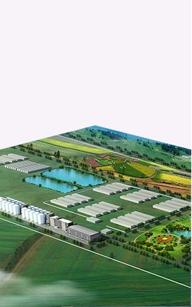 吉爾吉斯斯坦亞洲之星 農業(yè)產(chǎn)業(yè)合作區